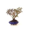 Vente de Bonsai Pistachier Lentisque, Pistacia Lentiscus, 36 cm