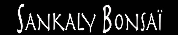 Sankaly Bonsai